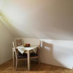 Отель Apartmaji in sobe Tina Словения, Краньска-Гора - отзывы, цены и фото номеров - забронировать отель Apartmaji in sobe Tina онлайн фото 2