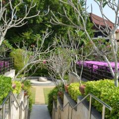 Отель Shangri-La's Rasa Sayang Resort and Spa, Penang Малайзия, Пенанг - отзывы, цены и фото номеров - забронировать отель Shangri-La's Rasa Sayang Resort and Spa, Penang онлайн фото 6
