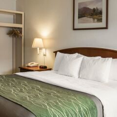 Отель Rodeway Inn And Suites On The River Чероки фото 16