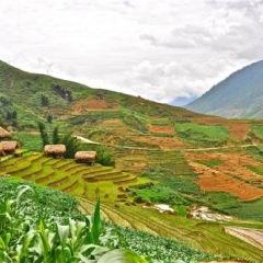 Отель H'mong Mountain Retreat фото 4