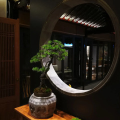 Taimuting Hotel фото 2