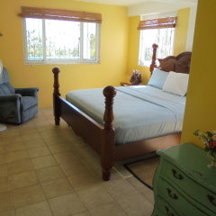 Sunrise Garden Self Catering Apartments in Massacre, Dominica from 136$, photos, reviews - zenhotels.com guestroom