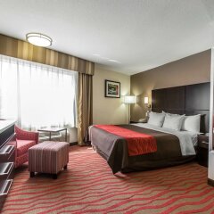 Отель Comfort Inn Los Angeles near Hollywood США, Лос-Анджелес - отзывы, цены и фото номеров - забронировать отель Comfort Inn Los Angeles near Hollywood онлайн комната для гостей фото 2