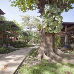 Отель Malibu Beach Resort Самуи фото 14