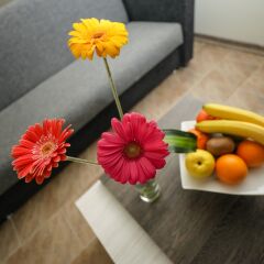 Биен Отель детские мероприятия