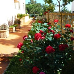 Отель La Mimosa Кастаньето-Кардуччи фото 5