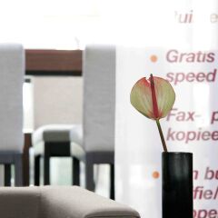 Отель Mercure Amsterdam West Нидерланды, Амстердам - 4 отзыва об отеле, цены и фото номеров - забронировать отель Mercure Amsterdam West онлайн городской автобус