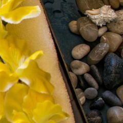 Отель Tropicana Inn Мексика, Сан-Хосе-дель-Кабо - отзывы, цены и фото номеров - забронировать отель Tropicana Inn онлайн