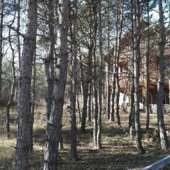 Abant Korudam Konak Pansiyon Турция, Болу - отзывы, цены и фото номеров - забронировать отель Abant Korudam Konak Pansiyon онлайн фото 21
