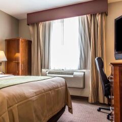 Отель Comfort Inn At LaGuardia Airport США, Нью-Йорк - отзывы, цены и фото номеров - забронировать отель Comfort Inn At LaGuardia Airport онлайн комната для гостей фото 3
