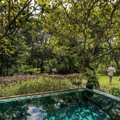 Отель Four Seasons Resort Chiang Mai бассейн фото 3
