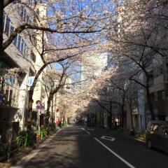 Belken Hotel Tokyo