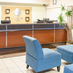Отель Comfort Inn - Woodland Hills США, Лос-Анджелес - отзывы, цены и фото номеров - забронировать отель Comfort Inn - Woodland Hills онлайн интерьер отеля фото 3