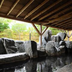 Shiobara Onsen Hotel Насусиобара бассейн фото 3