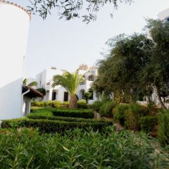 Hersonissos Village Hotel & Bungalows фото 3