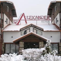Отель Alexander Hotel Болгария, Банско - 1 отзыв об отеле, цены и фото номеров - забронировать отель Alexander Hotel онлайн фото 5