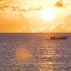 Отель Blue Bay Curacao Golf & Beach Resort фото 3