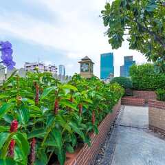 Отель Grandprapa Place Таиланд, Бангкок - отзывы, цены и фото номеров - забронировать отель Grandprapa Place онлайн фото 5