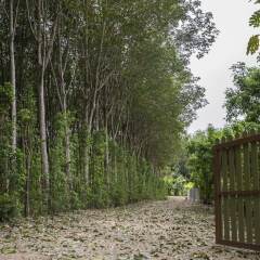 Отель Baan Aree Private Pool