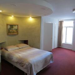 Отель Hoksbergen Hotel Нидерланды, Амстердам - отзывы, цены и фото номеров - забронировать отель Hoksbergen Hotel онлайн комната для гостей фото 4