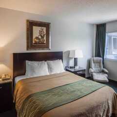 Отель Comfort Inn & Suites Downtown Edmonton комната для гостей