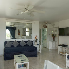 Отель Dolphin Beach Suite Ямайка, Очо-Риос - отзывы, цены и фото номеров - забронировать отель Dolphin Beach Suite онлайн комната для гостей фото 4