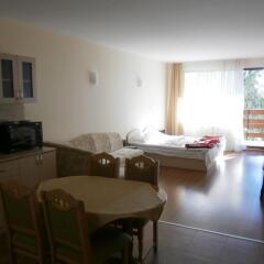 Studio Nelly In Hotel Rositsa Пампорово в номере