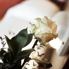 Отель Mocambo Италия, Риччоне - отзывы, цены и фото номеров - забронировать отель Mocambo онлайн в номере