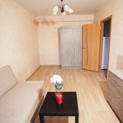 Гостиница Funny Dolphins Apartments Goncharny в Москве отзывы, цены и фото номеров - забронировать гостиницу Funny Dolphins Apartments Goncharny онлайн Москва комната для гостей