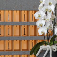 Hotel Madatsch Стельвио сауна