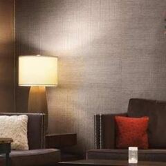 Отель Hampton Inn NY-JFK Jamaica-Queens США, Нью-Йорк - 1 отзыв об отеле, цены и фото номеров - забронировать отель Hampton Inn NY-JFK Jamaica-Queens онлайн развлечения