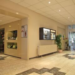 Opal Hotel интерьер отеля фото 3