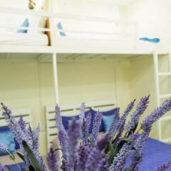 The Luci's House - Hostel