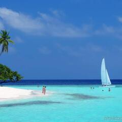 Отель Bandos Maldives Мальдивы, Бандос Айленд - 12 отзывов об отеле, цены и фото номеров - забронировать отель Bandos Maldives онлайн