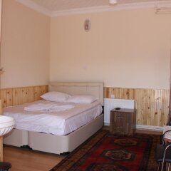 Sultan Pansion Bird Paradise Турция, Орханлы - отзывы, цены и фото номеров - забронировать отель Sultan Pansion Bird Paradise онлайн комната для гостей фото 2