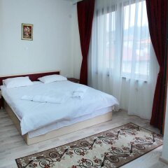 Отель Family Hotel Aleks Болгария, Ардино - отзывы, цены и фото номеров - забронировать отель Family Hotel Aleks онлайн фото 13