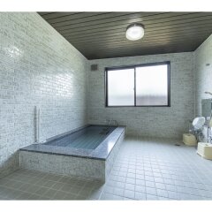 Отель Yamanakako Ryokan RYOZAN Яманакако бассейн