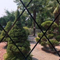 Отель Diana's Luxury Bed and Breakfast Канада, Ванкувер - отзывы, цены и фото номеров - забронировать отель Diana's Luxury Bed and Breakfast онлайн фото 4