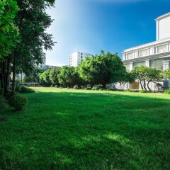 Отель Indochine Palace Вьетнам, Хюэ - отзывы, цены и фото номеров - забронировать отель Indochine Palace онлайн фото 4