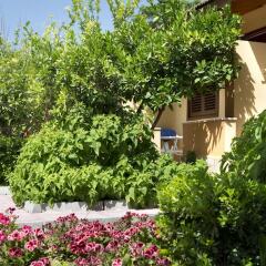 Hotel Ozlem Garden - All Inclusive фото 18