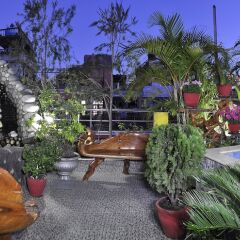 Отель Royal Penguin Boutique Hotel Непал, Катманду - отзывы, цены и фото номеров - забронировать отель Royal Penguin Boutique Hotel онлайн фото 5
