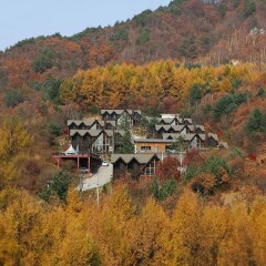 Отель Chalet Resort Южная Корея, Пхёнчан - отзывы, цены и фото номеров - забронировать отель Chalet Resort онлайн приотельная территория