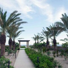 Отель JW Marriott Los Cabos Beach Resort & Spa фото 9
