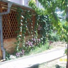Отель Guest House Dora Болгария, Аврен - отзывы, цены и фото номеров - забронировать отель Guest House Dora онлайн