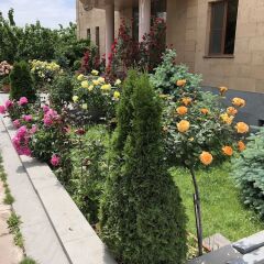 Отель Villa in Nork Армения, Ереван - отзывы, цены и фото номеров - забронировать отель Villa in Nork онлайн фото 9