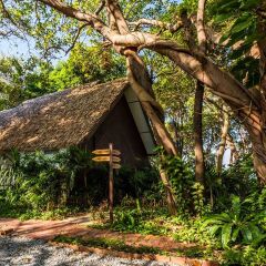 Floral Lux Hotel Monttra Pattaya Паттайя фото 17