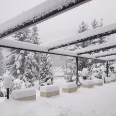 Отель Paradise Complex Тырговиште фото 7
