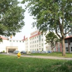Golden Dragon Hotel