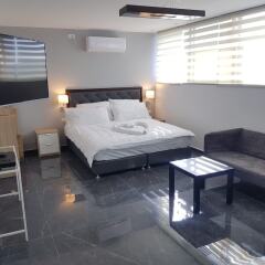 Lago Suites Hotel Израиль, Иерусалим - отзывы, цены и фото номеров - забронировать отель Lago Suites Hotel онлайн комната для гостей фото 3
