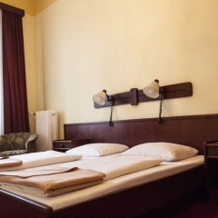 Отель SHS Hotel Fürstenhof Австрия, Вена - 5 отзывов об отеле, цены и фото номеров - забронировать отель SHS Hotel Fürstenhof онлайн фото 2